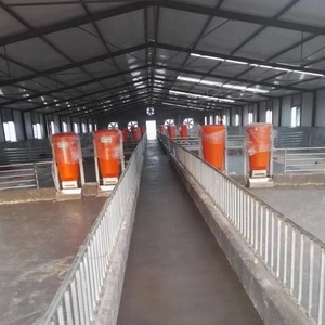 Équipement économique pour animaux de compagnie, concentrés d'alimentation pour cochon, dédie aux animaux - Product Image 5