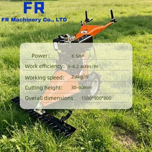 Cortadora de Césped Mini a <span class=keywords><strong>Gasolina</strong></span> Autopropulsada con Motor Hidráulico, <span class=keywords><strong>Mejor</strong></span> Precio, Personalizable, Certificación CE, HP600 - Product Image 4