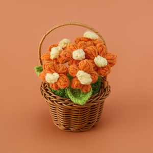 Cesta de Suculentas Tejida a Crochet Hecha a Mano con 7 Cabezas, Vendida en Puestos de Mercado Nocturno, Como Regalo para Compañeros de Clase, Maestros y Colegas - Product Image 6