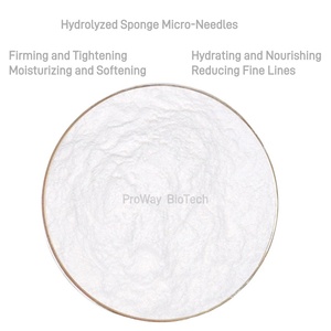 Extrait d'éponge hydrolysée 99% (Spongilla Lacustris) Spicule d'éponge de microneedling <span class=keywords><strong>bio</strong></span> pour les soins de la peau au Canada - Product Image 4