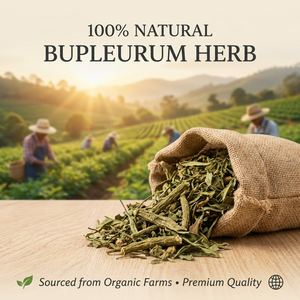 Premium Doğal Toplu Güneşte Kurutulmuş Çai Hu Çin Geleneksel Bitkisi Kurutulmuş Bupleurum Çayı İçin Bitki - Product Image 3