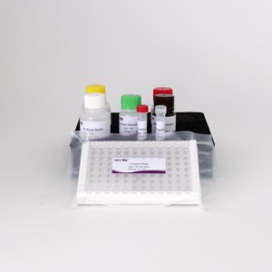 ASIA-1 Foot-and-Mouth Disease Virus (FMDV) Antibody ELISA <strong>Kit</strong> for Swine - OIE Validated - Product Image 6