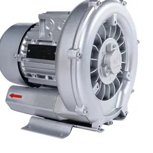 Hot Sale CE Proved High Pressure Vacuum Air Pump Blower for Swimming Pool