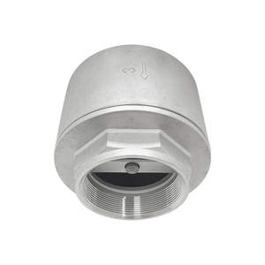 Válvula de Retención de 2 Vías NPT SUS316 PN16 con Sellado de PTFE para Suministro de Agua Comercial y Protección Contra Reflujo - Product Image 4