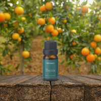 10ml Marque privée Thym 100% Pure Huile essentielle biologique Multi-usage Huile pour le corps et les cheveux Huile en gros Nouveau Naturel