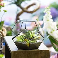 Maison jardin décor de table Miniature petit Pot de fleur pentagone forme Football or noir verre géométrique Terrarium jardinière