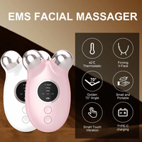 Mini appareil de massage facial à micro-courant pour raffermir la peau, sculpter le visage, réduire les poches et tonifier le visage avec technologie photonique