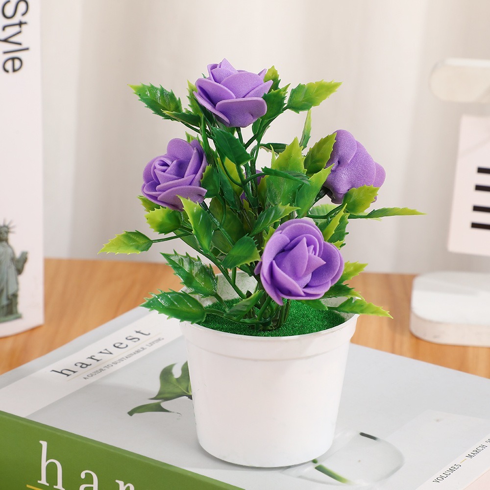 Pourpre