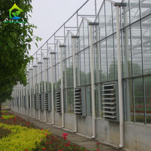 Serres agricoles en verre, système hydroponique vertical, serre Venlo, Invernadero <span class=keywords><strong>De</strong></span> <span class=keywords><strong>Tomate</strong></span> - Product Image 5