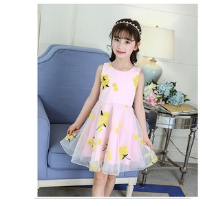 Vestido de Tul Estilo Vintage para Niñas, Vestido de Princesa con Encaje y Flores Bordadas, de Tienda en Línea de Venta al Por Mayor - Product Image 4
