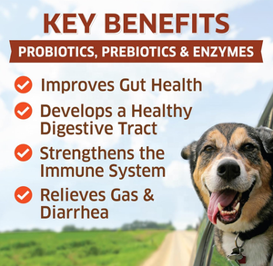 Probióticos Masticables para Mascotas al por Mayor, OEM, Refuerzo Inmunológico para Perros, Salud Digestiva, Orgánicos, Sin Granos, Absorción Rápida, Salud Intestinal, <span class=keywords><strong>Gas</strong></span> - Product Image 2