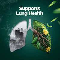 Biochealth OEM Marque privée Feuille de molène Gommes à la quercétine Complément alimentaire pour adultes Santé pulmonaire Soutien digestif