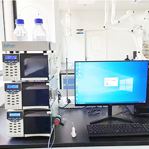 Système HPLC à gradient binaire Scienovo LC1100 - Product Image 3