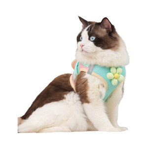 2025 הסיטונאי Fe סיטוני מחמד לרתום אפוד רעיית חתול לכלבים קטנים עיצוב הליכה - Product Image 2