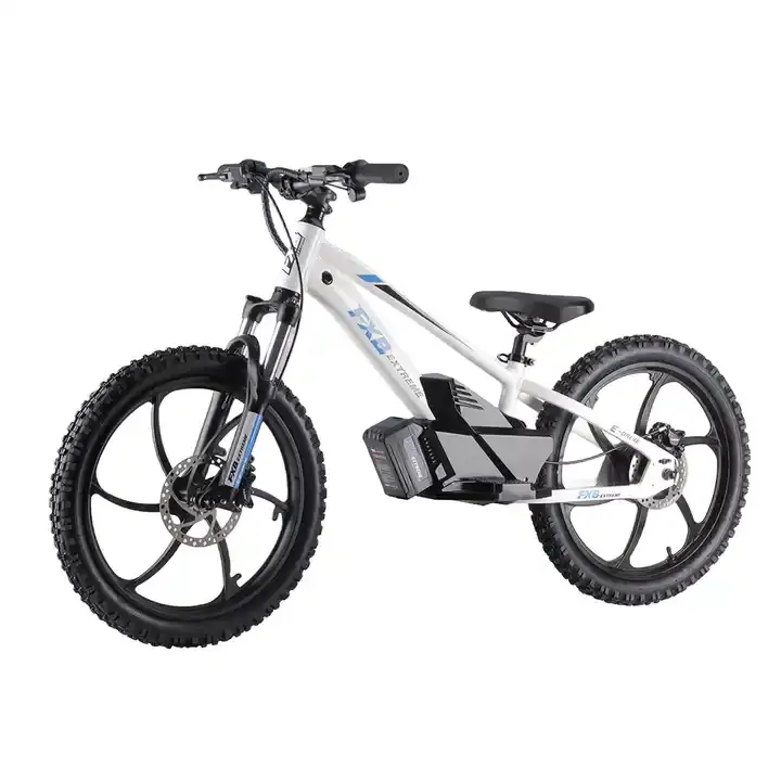 Bici elettrica per bambini bicicletta per bambini 20 pollici 36V 5AH mozzo Brushless motore idraulico freno a disco per allenamento all'aperto