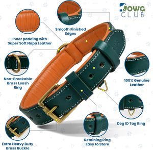 Collares de Perro de Cuero Genuino Hechos a Mano de Lujo, Resistentes, Ajustables y Acolchados con Color Personalizado para Perros y Gatos - Product Image 2