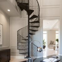 Ascenseurs spirale modernes dans les résidences australiennes haut de gamme : design innovant, installation facile, sûrs et durables.