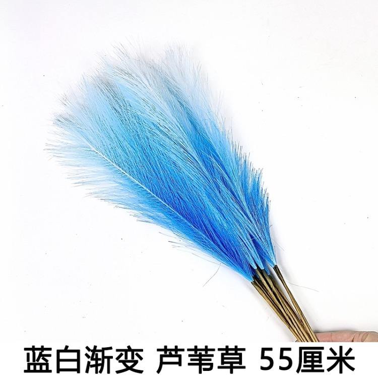 Hierba de caña degradada azul y blanca, 55 cm, 10 ramas.