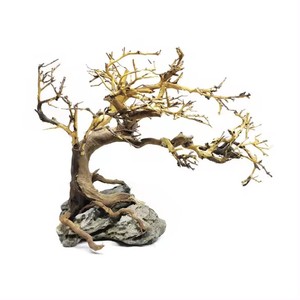 수족관 물고기 탱크 조경 장식 유목 태국 가지 - Product Image 1