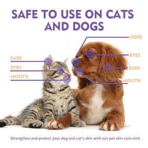 Natural aliviar la picazón <span class=keywords><strong>Dermatitis</strong></span> Eczema gato perro herida picazón alivio mascota cuidado de la piel Spray - Product Image 2