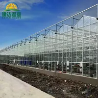 Glass Greenhouse Glassglass Glass Greenhouse Climate Control System Agriculture Venlo Glass Greenhouse