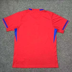Maillot de football de l'équipe nationale de Norvège 2026 – <span class=keywords><strong>T</strong></span>-<span class=keywords><strong>shirt</strong></span> incontournable pour les fans de Norvège – <span class=keywords><strong>T</strong></span>-<span class=keywords><strong>shirt</strong></span> de football Viking Lions à manches courtes - Product Image 2