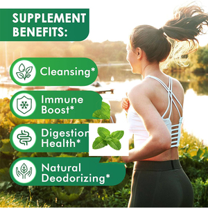 نعناع طبيعي ، خلاصة أوراق النعناع الصافي ، خلاصة أوراق النعناع الممتازة. - Product Image 4