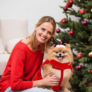 Disfraz de Navidad para Perro, Traje de Papá Noel Montado en Mascota, Diadema de Astas de Reno, Ropa de Navidad para Cachorros, Talla XX-Large, Piel Sintética - Product Image 4