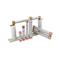Fusibles de tube de fusible de limitation de courant haute tension d'intérieur RN2-20KV