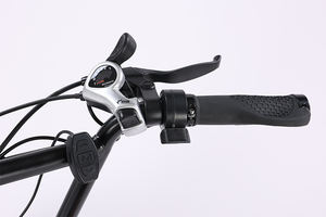 Descuento chino 20 <span class=keywords><strong>29</strong></span> pulgadas estilo motocicleta rápida 48 V 350W 1000W 10 Ah 15 Ah bicicleta eléctrica para adultos bicicleta eléctrica - Product Image 3