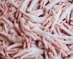 Pattes de poulet congelées de qualité supérieure à prix compétitif, grade A, processus BQF, durée de conservation de 24 mois, vente en gros, emballage en vrac, exportation - Product Image 4