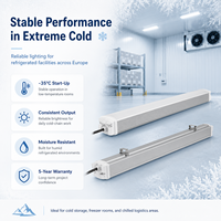 Éclairage LED Tri-Proof à économie d'énergie pour entrepôts frigorifiques 100/130lm/W Indice de protection IP66 Garantie de 5 ans CRI élevé 83