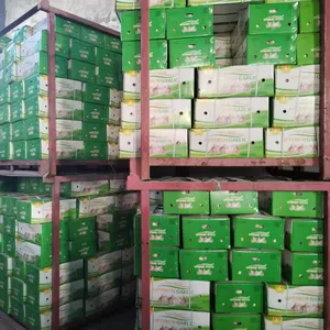 마늘 시장 가격 10kg/카톤에 대한 튀니지 포장에 최적의 신선한 마늘 에일 알호 중국 수출