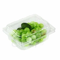 Clamshell PET pour raisins | Filet à fruits jetable ventilé avec couvercle à charnière | Récipient d'emballage transparent de qualité alimentaire