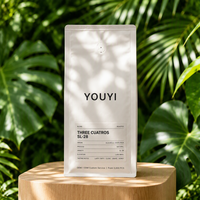 YOUYI Sachet Doypack pour café imprimé en gravure avec fenêtre et valve, finition mate, emballage souple personnalisé OEM
