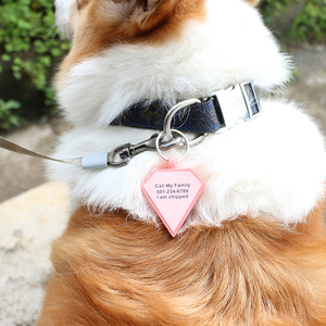 PAISEN Pet Outdoor Zubehör Personal isierte benutzer definierte Erkennungs marken Gravierte 3D QR Code Hunde Katzen halsband Silikon Pet Tag - Product Image 4