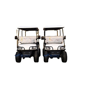 Battery Powered 2 Seater Cargo Wholesale Golf <b>Cart</b> with Boxs <b>Tool</b> Vehicle Truck Car Hunting Club Golf Car - Product Image 1