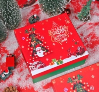 Boîte cadeau rigide haut de gamme pour Noël, souvenirs du Nouvel An, emballage festif pour cadeaux de fêtes, sapin de Noël