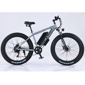 Bicicleta Eléctrica de Neumáticos Anchos de Alta Calidad de Fábrica en Oferta, Batería de Litio de 350 W, Discover Fatbike Discover - Product Image 5