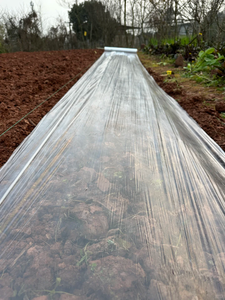 SERNZO <span class=keywords><strong>Film</strong></span> Plastico per Pacciamatura in LDPE Bianco Anti-Erba per Frutta, Verdura e Cipolle, Spessore 10-30 micron, Lunga Durata - Product Image 3