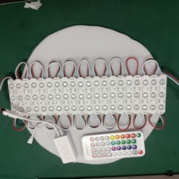 Module LED adressable IP67 haute luminosité DC12V Pixel Module LED d'injection