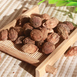 Yi zhi famoso tempero medicina tradicional comestível Alpinia oxyphylla sementes para venda - Product Image 4