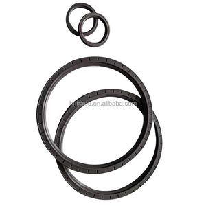 مبيعات المصنع مباشرة هيكل عظمي ختم TC TB <span class=keywords><strong>TA</strong></span> g SC VC Nbr Fkm ختم زيت الغبار - Product Image 4