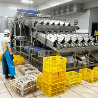 ENAK Voedselverwerkingsmachines, productielijn voor ingeblikte sardines, apparatuur voor fruit, groenten en vlees.