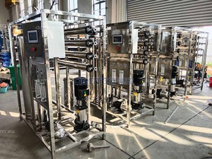 Petit purificateur d'eau RO industriel 0,25 TPH, station de traitement d'eau compacte - Product Image 2