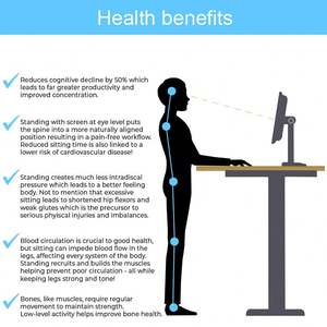 Ergonomic Electric <b>Computer</b> Height Adjustable Sit Stand <b>Desk</b> Dual Motor - Product Image 6