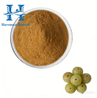 Poudre d'extrait d'Amla 100% naturelle de haute qualité pour cosmétiques, poudre d'Amla de qualité alimentaire pour la croissance des cheveux