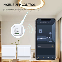 Interrupteur mural intelligent WiFi étanche Tuya avec minuterie, en ABS, pour le contrôle domestique via l'application Smart Life, 10A/16A Max