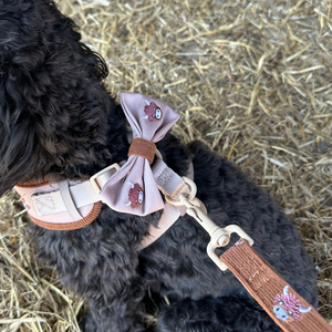 SinSky pas de traction tactique chien harnais luxe collier et laisse ensemble anti-dérapant réglable broderie chien harnais ensemble - Product Image 5