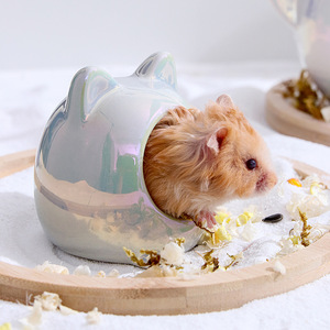 Sevimli meyve tasarım Hamster seramik yuva gizler yaz küçük Pet tedarikçiler sevimli Hamster kafes - Product Image 5